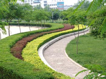 園林綠化 園林綠化工程