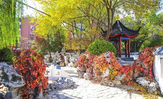 天津推進(jìn)園林綠化工程建設(shè) 家門(mén)口的中式園林