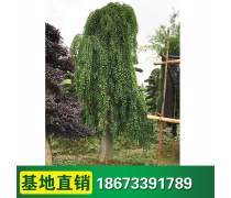 分類(lèi)瀏覽產(chǎn)品庫(kù)
