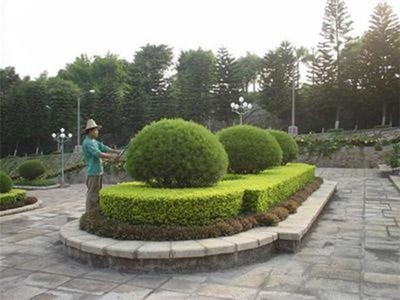 石景山園林綠化團(tuán)隊(duì)